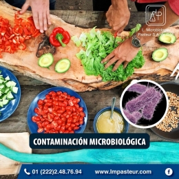 El tercer tipo de contaminación de alimentos es la microbiológica: bacterias, hongos, parásitos, etc...