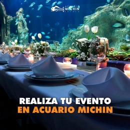 Realiza tus eventos en un lugar inigualable  - Acuario Michin Puebla - Puebla