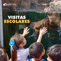 Planea tus visitas escolares - Acuario Michin Puebla - Puebla
