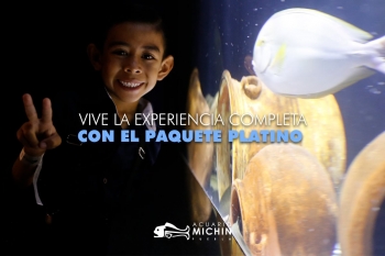 Pregunta por nuestros paquetes - Acuario Michin Puebla - Puebla