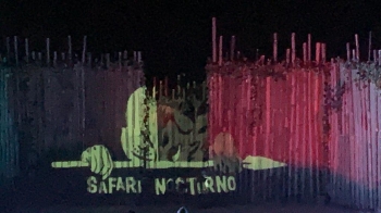 Safari Nocturno  proyección de Mapping para escenografía - Rebattu Producciones - Puebla