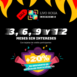 Tienda departamental en línea Livo Koua - Puebla