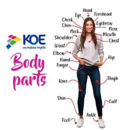 Parte importante es saber las partes del cuerpo  - Aprende inglés en línea con KOE Puebla - Puebla