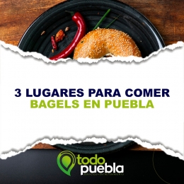 3 lugares para comer bagels en Puebla - Puebla Blog - Puebla