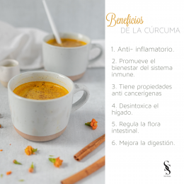 Silvia Strauss Puebla - Puebla