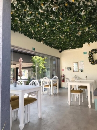 Cuppla - Cafetería - Puebla