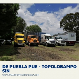 Transportes Grupo Giga - Puebla