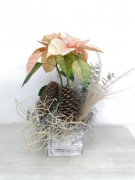Vincent Boutique Floral - Puebla