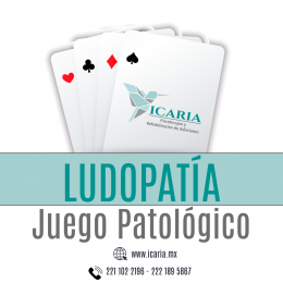 ¿ERES ADICTO AL JUEGO?
El juego adictivo puede afectar la vida diaria de una persona, de tal forma ...