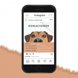 Mictlán Estudio - Agencia de Diseño & Publicidad - Puebla