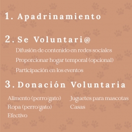 Mictlán Estudio - Agencia de Diseño & Publicidad - Puebla