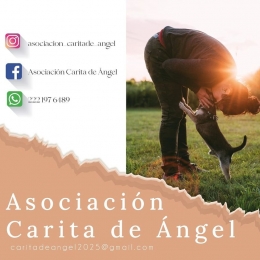 Mictlán Estudio - Agencia de Diseño & Publicidad - Puebla