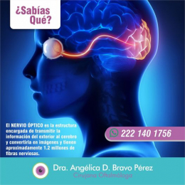 Dra. Angélica D. Bravo Pérez - Cirujana Oftalmóloga - Puebla