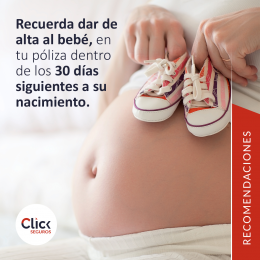 Click Seguros Puebla - Puebla