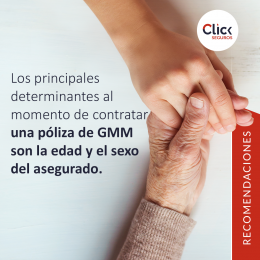 Click Seguros Puebla - Puebla