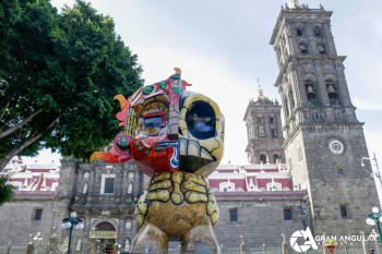 Gran Angular Agencia - Puebla