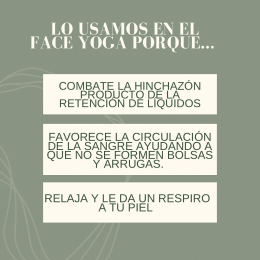 Silvia Strauss Puebla - Puebla