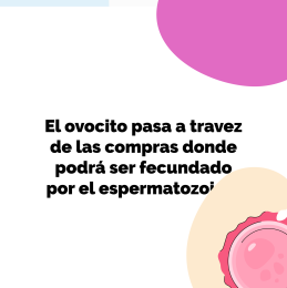 Dr. Octavio Herrera Osorio - Ginecólogo y Obstetra - Puebla