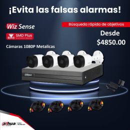 Seguridad Network System - Puebla