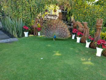 La Churrasca Atlixco - Puebla