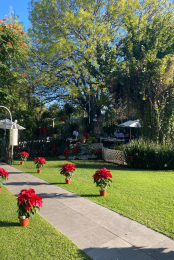 La Churrasca Atlixco - Puebla