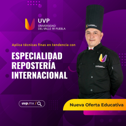 UVP - Universidad del Valle de Puebla - Puebla