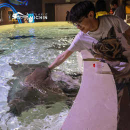 Acuario Michin Puebla - Puebla