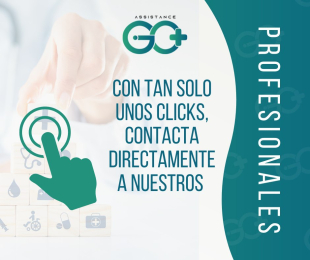 Aplicación AssistanceGo - Puebla