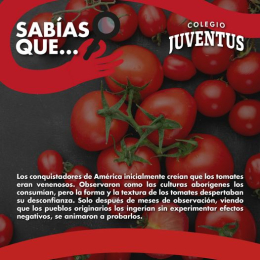 ¿Los tomates son venenosos? Adivina la sorprendente historia a continuación en nuestro post. - Coleg...