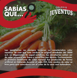 Las zanahorias no siempre fueron naranjas, y la razón detrás de este cambio es realmente interesante...