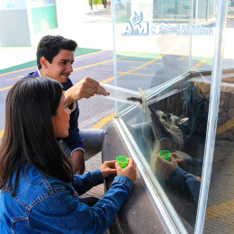 Acuario Michin Puebla - Puebla