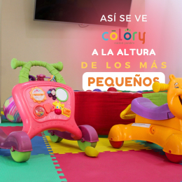 Colory Salón Jardín - Puebla