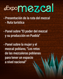 Centro Comercial Parque Puebla - Puebla