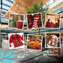 Centro Comercial Parque Puebla - Puebla