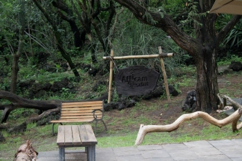 1a Comunión en el Jardín Botánico - Africam Safari - Africam Safari - Puebla