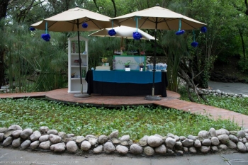 1a Comunión en el Jardín Botánico - Africam Safari - Africam Safari - Puebla