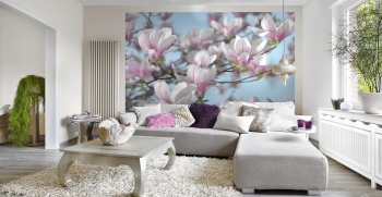 Neo Carpets Interiorismo - Puebla